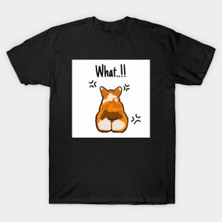 Dog Welsh Corgi What ...!! T-Shirt